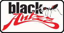 Black Antzz