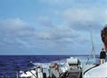 029-snfl-79.jpg