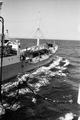 imm006.jpg
