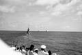 imm019.jpg