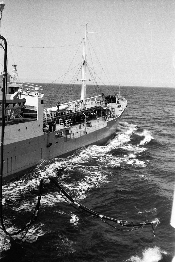 imm006.jpg
