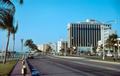 005-florida-01.jpg