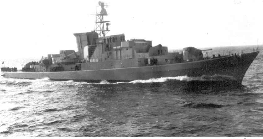 schiff-07b.jpg