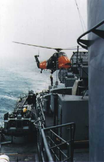 schiff-14.jpg