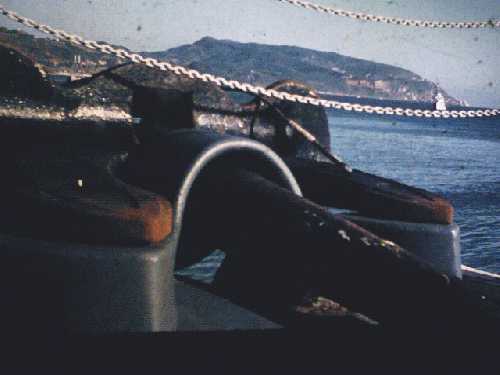 schiff-24.jpg