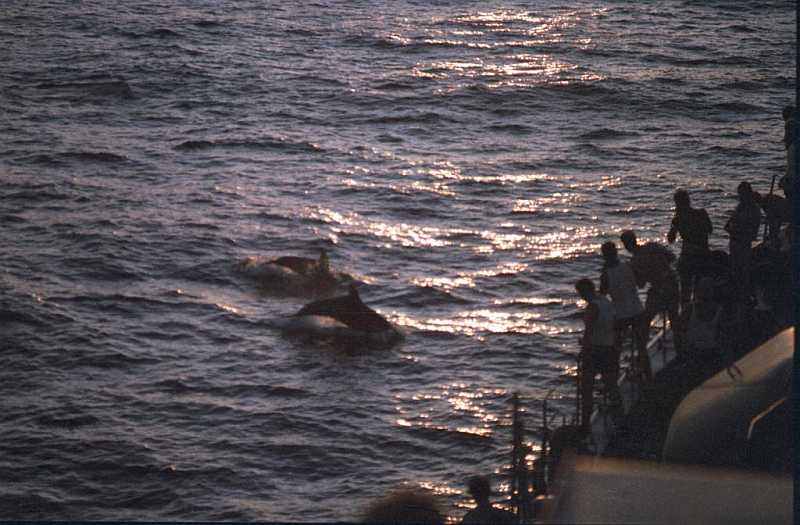 06-1984-AAG.jpg