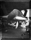 Verstellpropeller