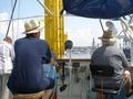 dsc02336.jpg